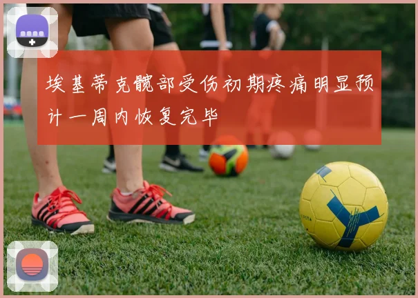 埃基蒂克髋部受伤初期疼痛明显预计一周内恢复完毕